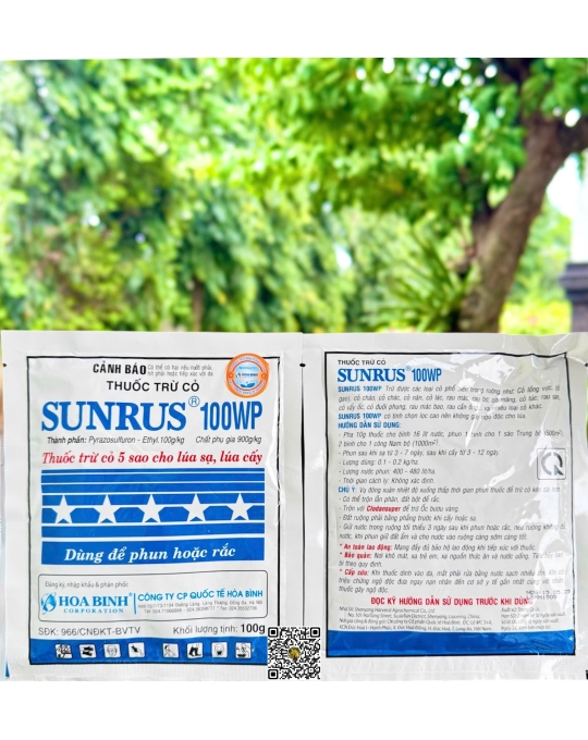 Sunrus 100WP - 100gr x 100 gói