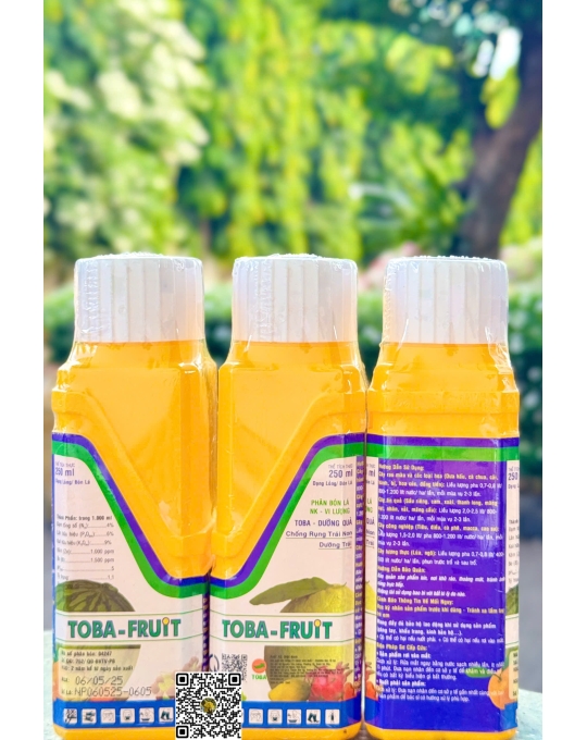 Toba - Fruit - 250ml x 40 chai (dưỡng trái)